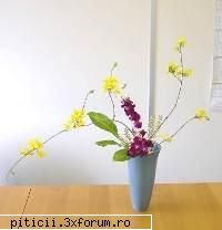 Aranjamente florale... - dana210773 - Plante de apartament, plante de grădină