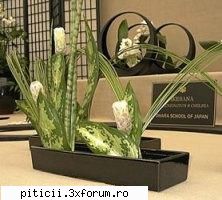 Aranjamente florale... - dana210773 - Plante de apartament, plante de grădină