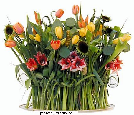 Aranjamente florale... - carmen spania - Plante de apartament, plante de grădină