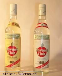 COCKTAILURI CU ROM - PIÃƒÆ’Ã¢â‚¬ËœA COLADA In mixerul - Cocktailuri si cafea