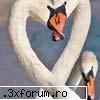 Cum petreceti de Valentine's Day? - irinascumpik - Modă, tendinţe, lucruri intre femei, despre bărbaţii nostri
