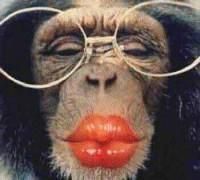 te rugam, chiar ... :rotfl:
 bea, ce faci domle ? sau umbli? 

                                 va