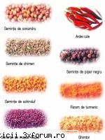MIRODENII - CURRY Numele anglo-indian al - Bucătărie romanească si internaţională!