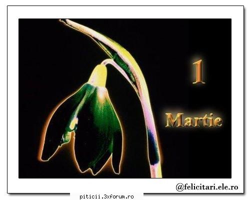 Martie,luna Mamicilor...femeilor!! - Buna Romani de pr - Loc de carcotit la o cafea fără zahăr!
