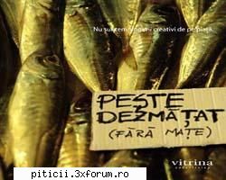 tare de tot!! amuzati-va cu astea!!! - Beatrice - Divertisment cu şi fără perdea