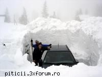 tare de tot!! amuzati-va cu astea!!! - A nins nu gluma - Divertisment cu şi fără perdea