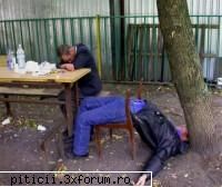tare de tot!! amuzati-va cu astea!!! - dana210773 - Divertisment cu şi fără perdea