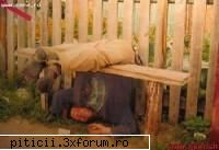 tare de tot!! amuzati-va cu astea!!! - Relaxare totala in yoga - Divertisment cu şi fără perdea