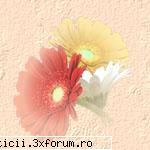 vine postul.. apucati? &nbsp; &nbsp;vine postul... fiecare tin cam 2-3 slabiti cite ceva... voi? shi